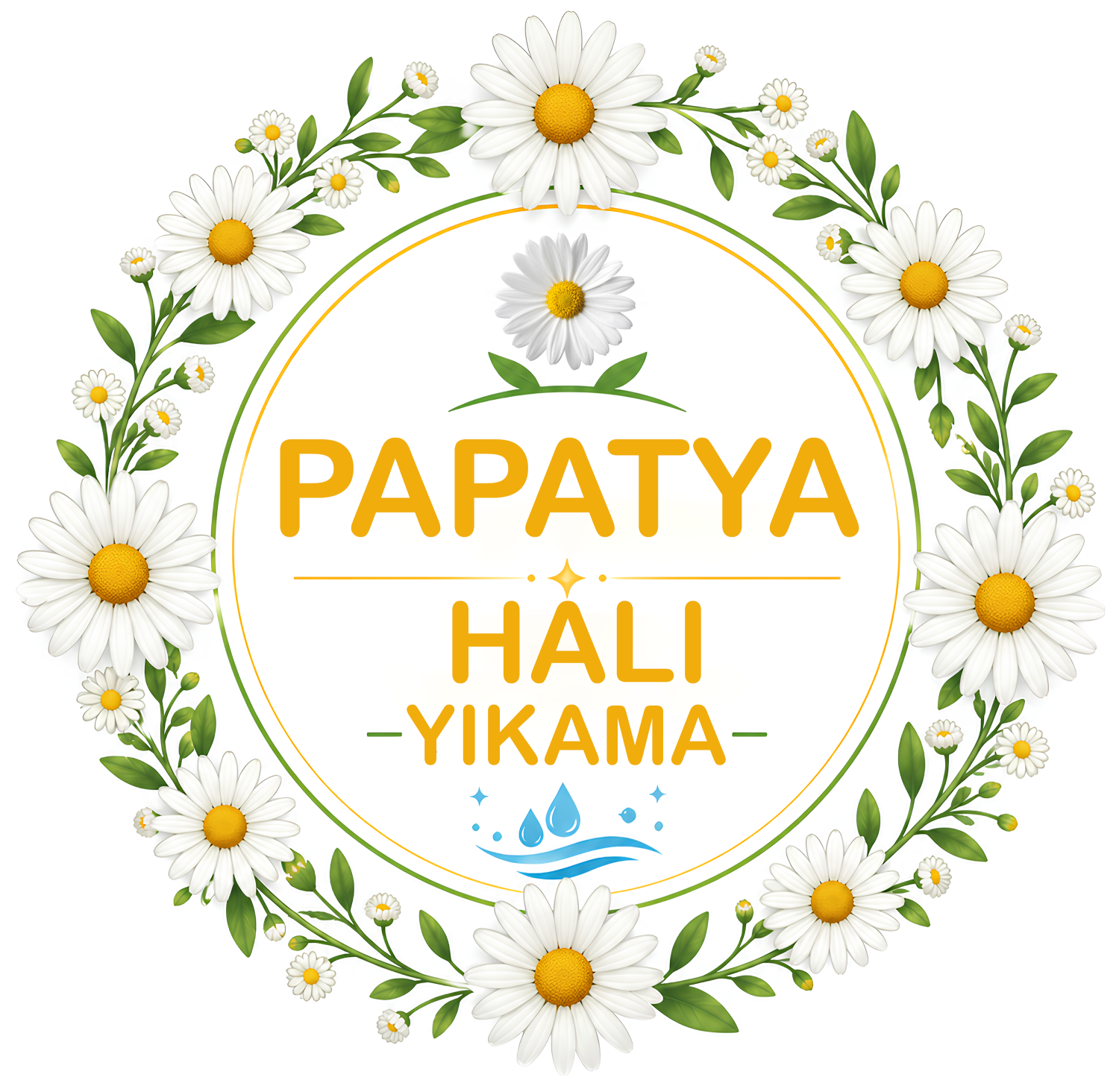 Papatya Halı Yıkama