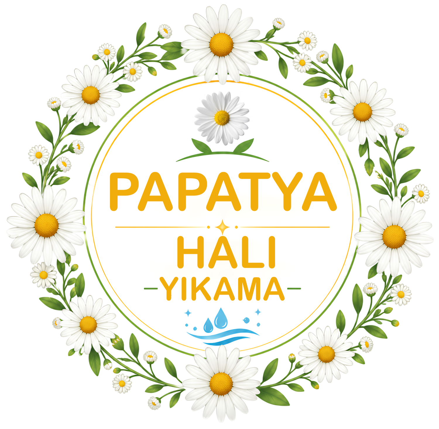 Papatya Halı Yıkama